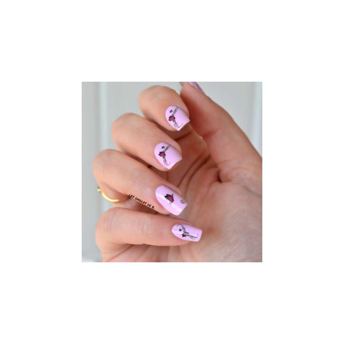 Water Decals Papillons - Noir et Bordeaux