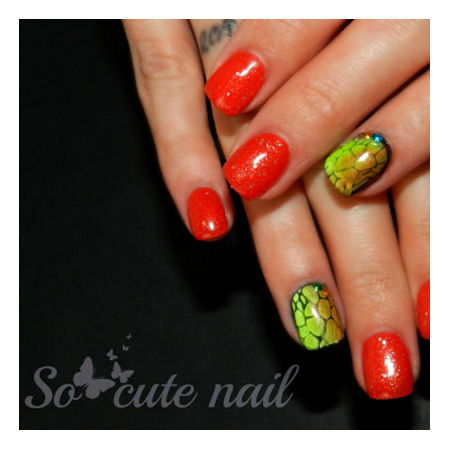 Plaque de Stamping Léopard, Zèbre, Python et Crocodile