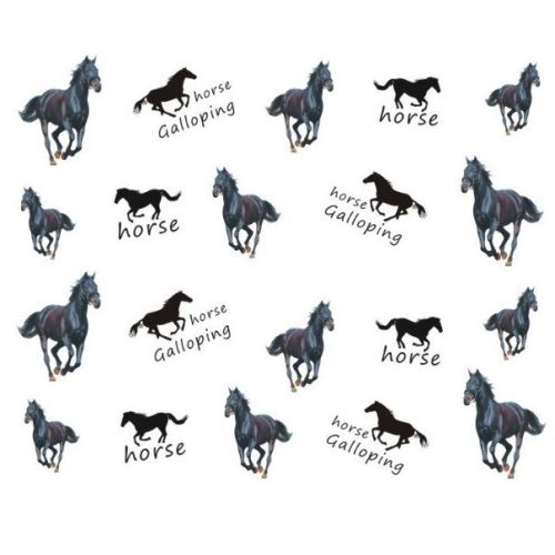 Water Decals Cheval - Noir