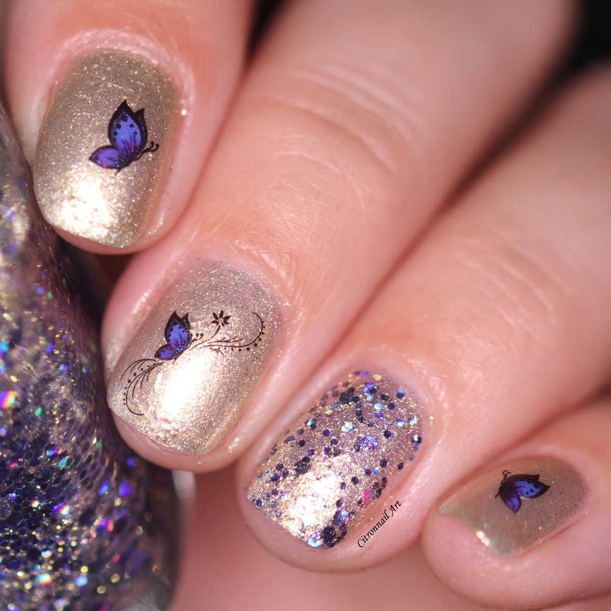 Water Decals Papillon - Noir et Bleu