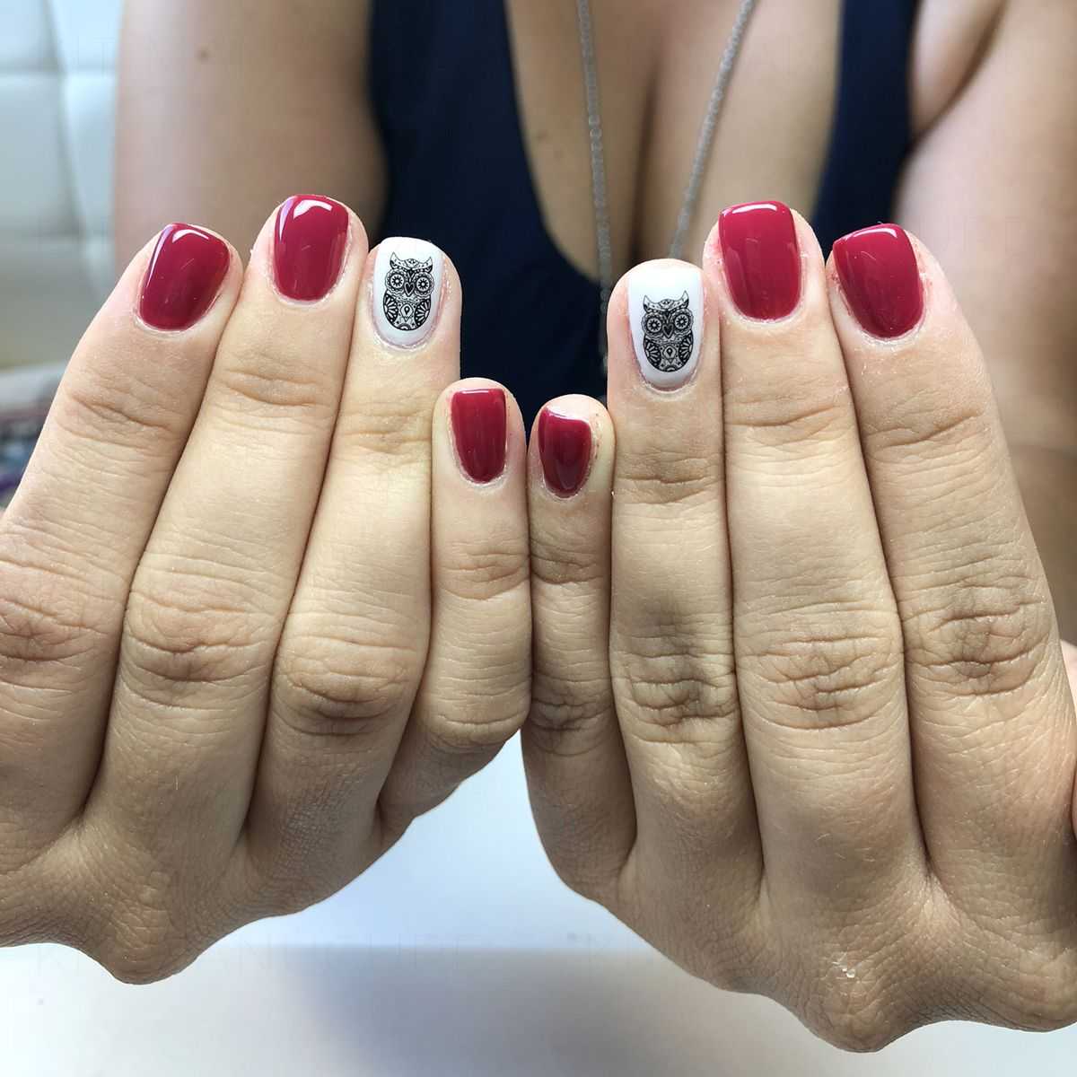 Water Decals Hiboux Stylisés - Noir