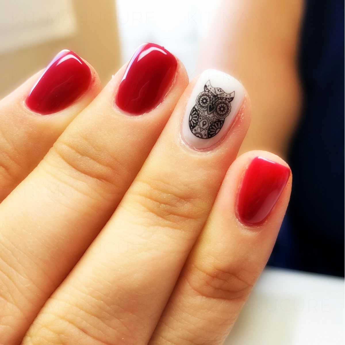 Water Decals Hiboux Stylisés - Noir