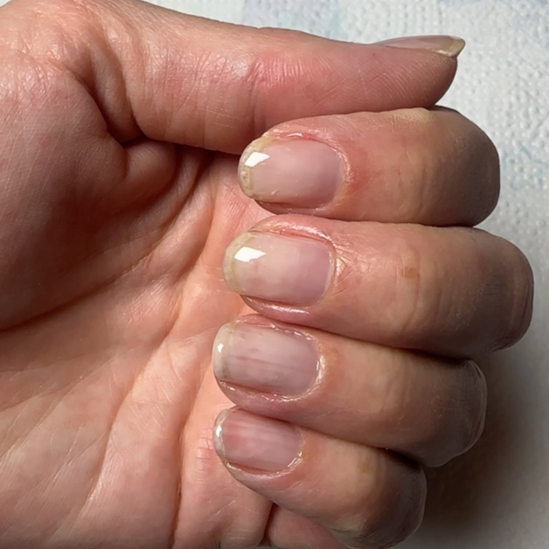 base à la proteine de soie pour gainage